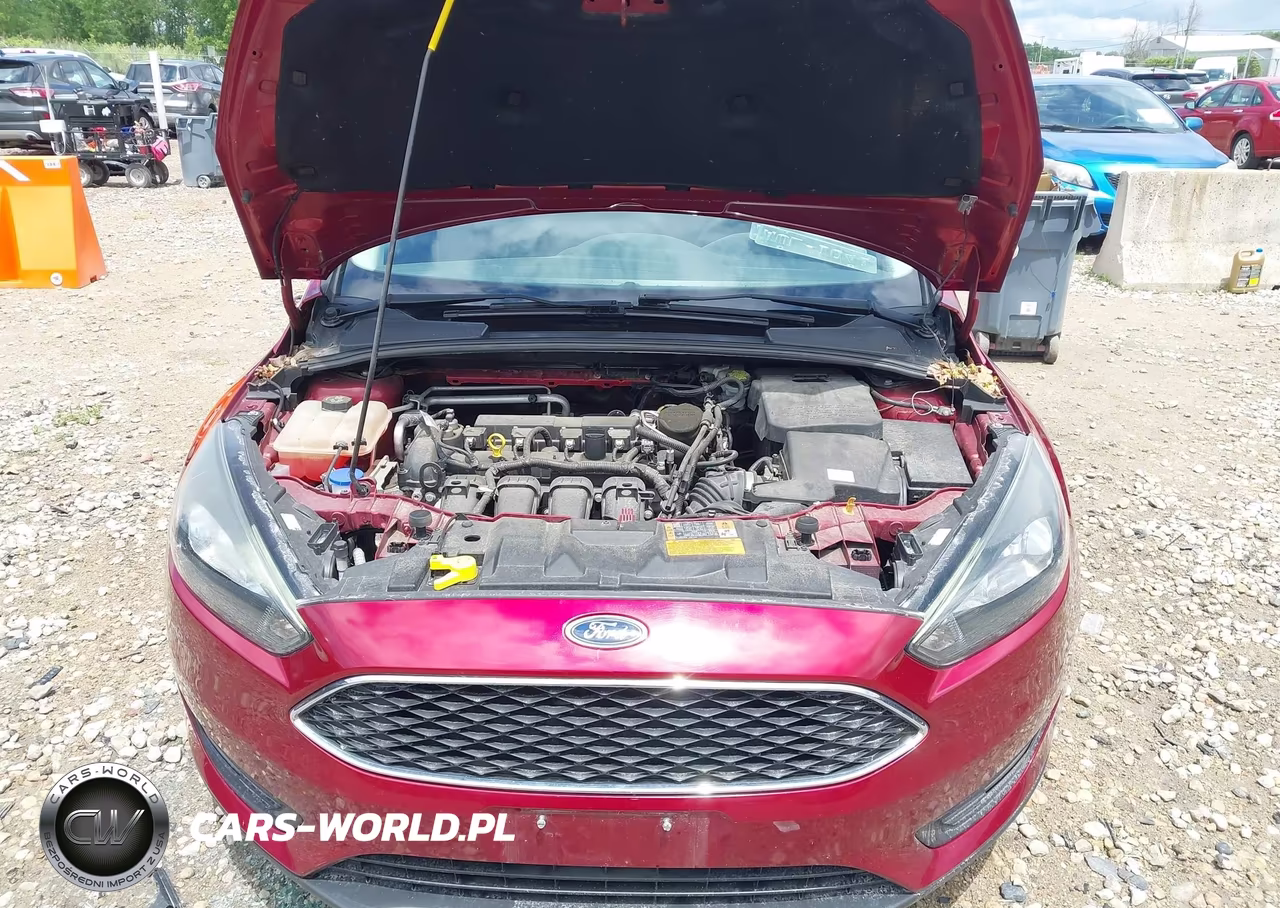 2015 Ford Focus Se VIN:1FADP3F20FL346330 - 10