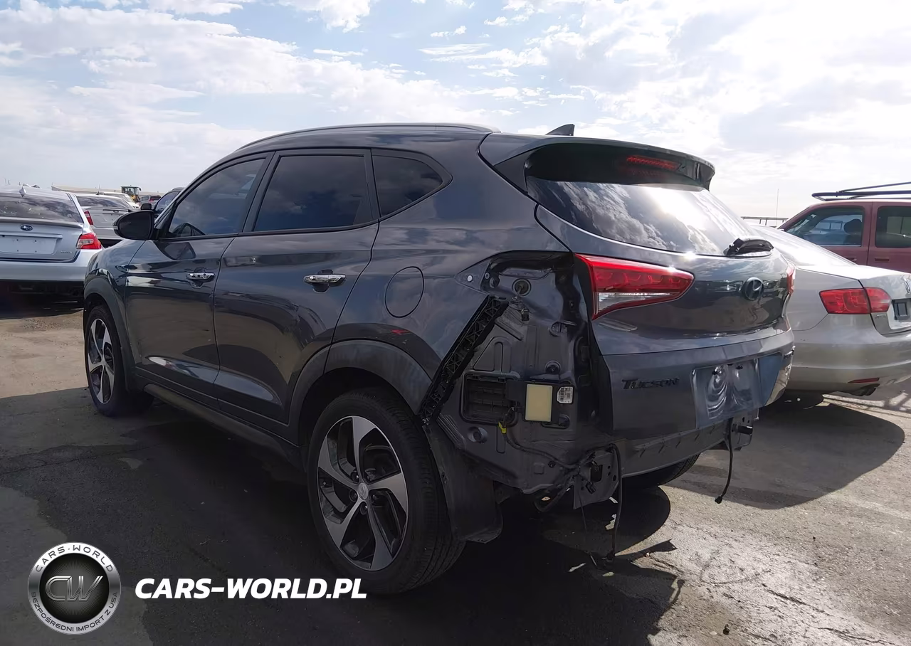 2016 Hyundai Tucson Limited VIN:KM8J33A29GU121198 - 3