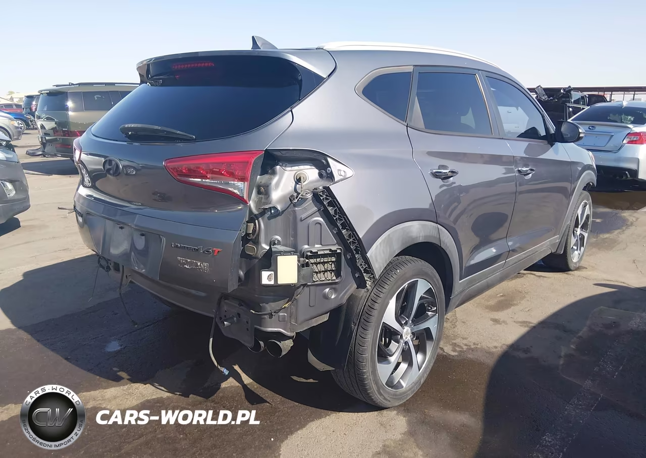 2016 Hyundai Tucson Limited VIN:KM8J33A29GU121198 - 4