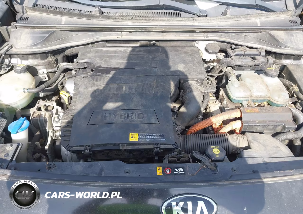 2017 Kia Niro Ex VIN:KNDCC3LC2H5071548 - 10