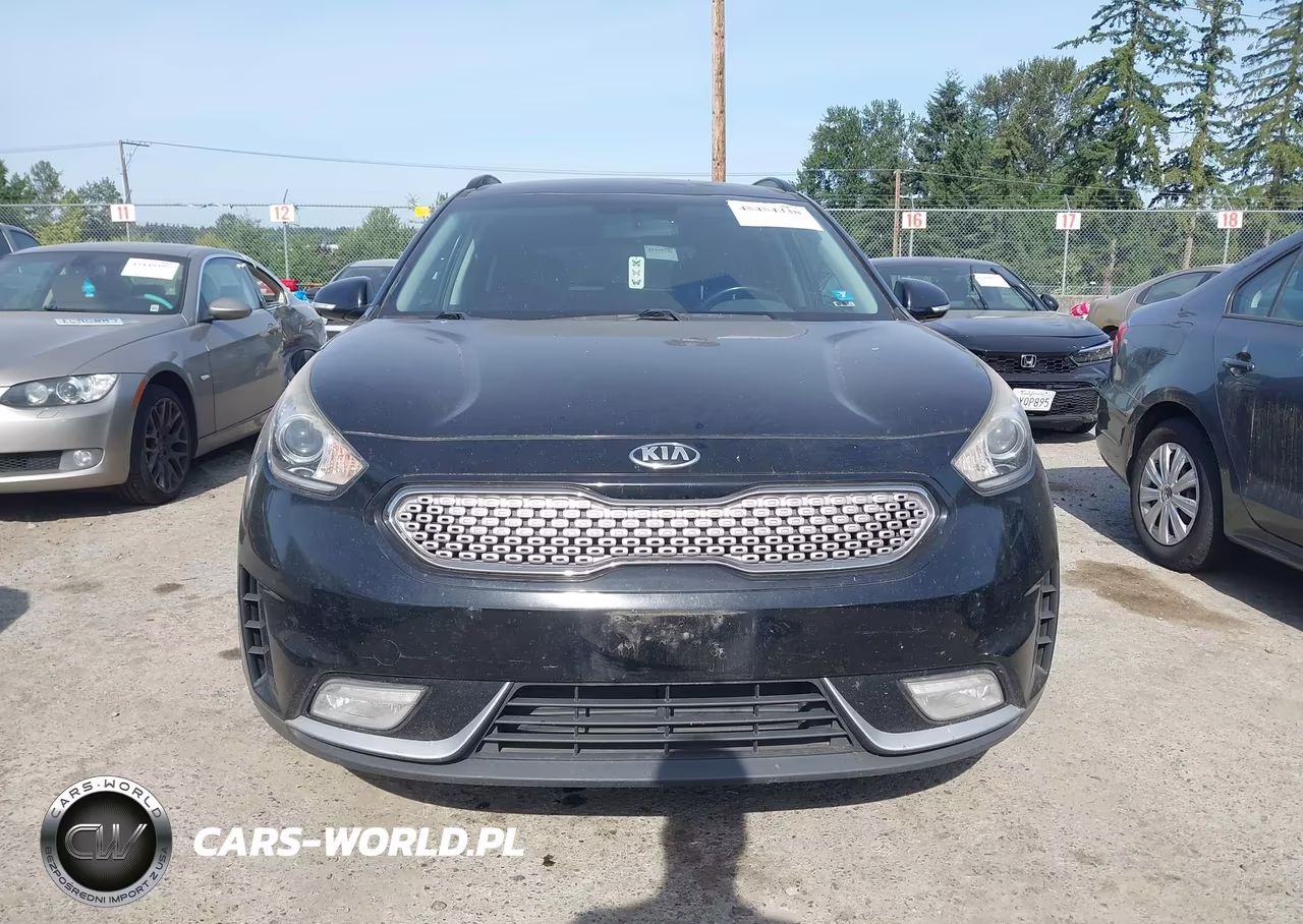 2017 Kia Niro Ex VIN:KNDCC3LC2H5071548 - 12