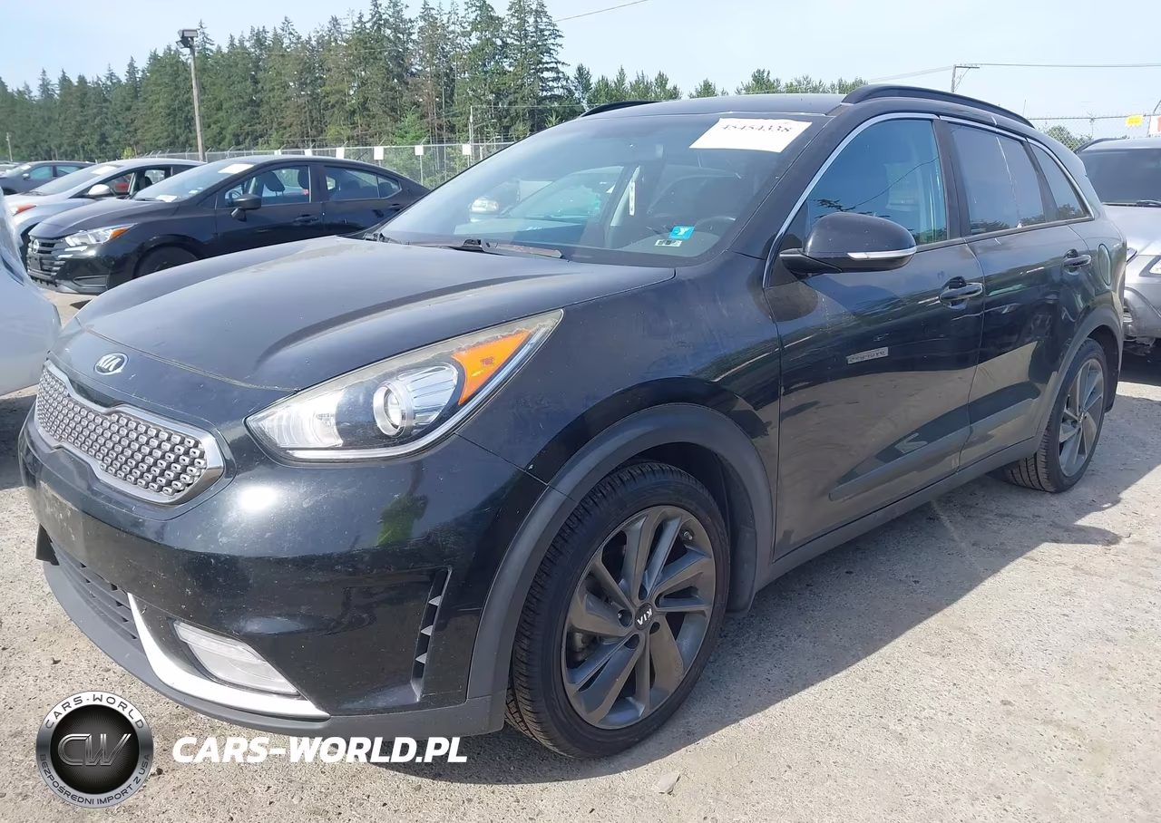 2017 Kia Niro Ex VIN:KNDCC3LC2H5071548 - 2