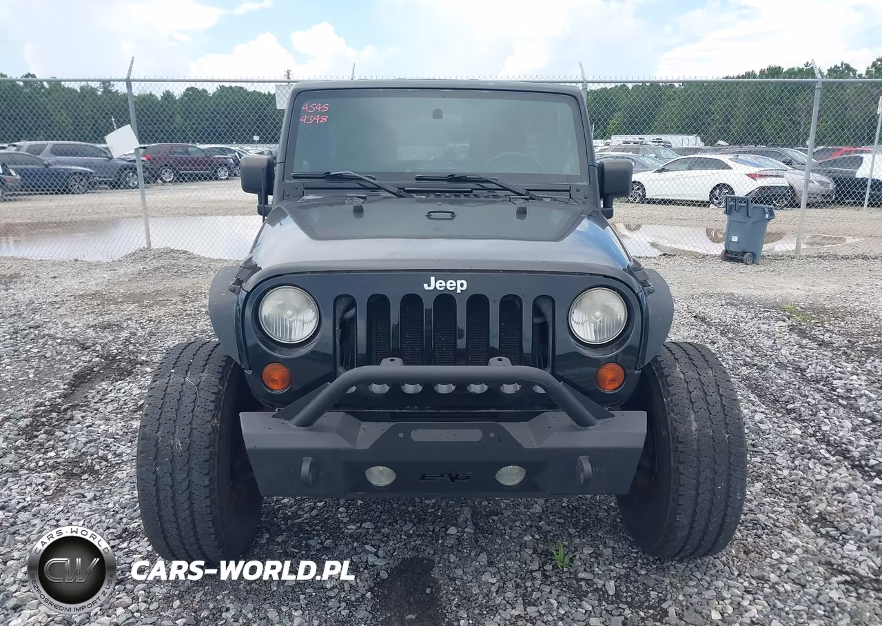 2009 Jeep Wrangler Unlimited X VIN:1J4GA39139L772166 - 12