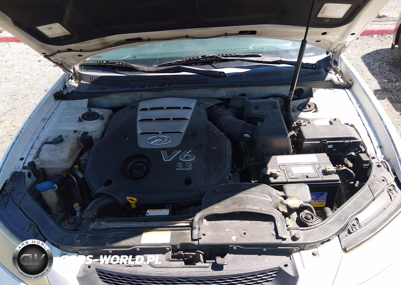 2006 Hyundai Sonata Gls V6-Lx V6 VIN:5NPEU46F86H092242 - 10