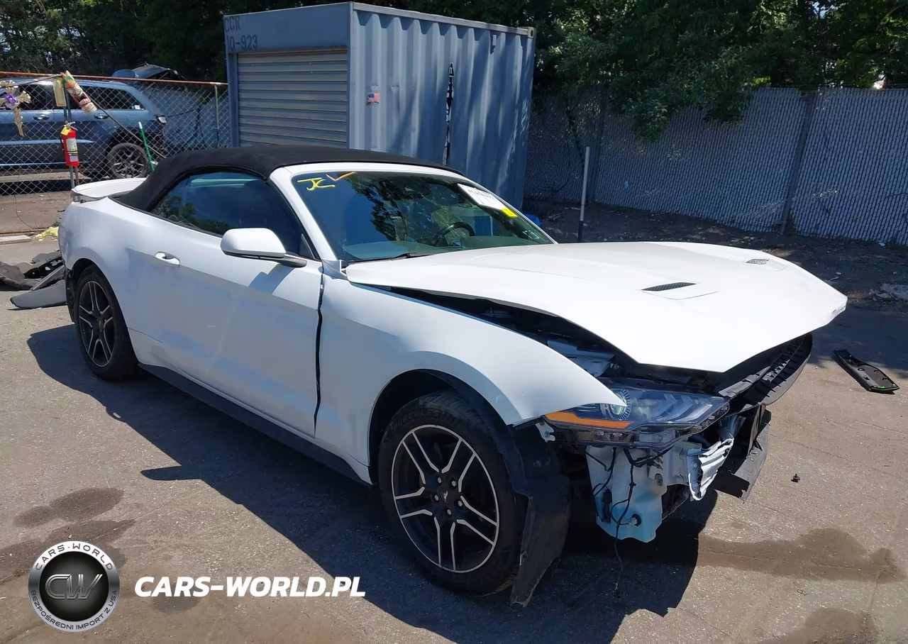 FORD MUSTANG – zdjęcie 1 z 17