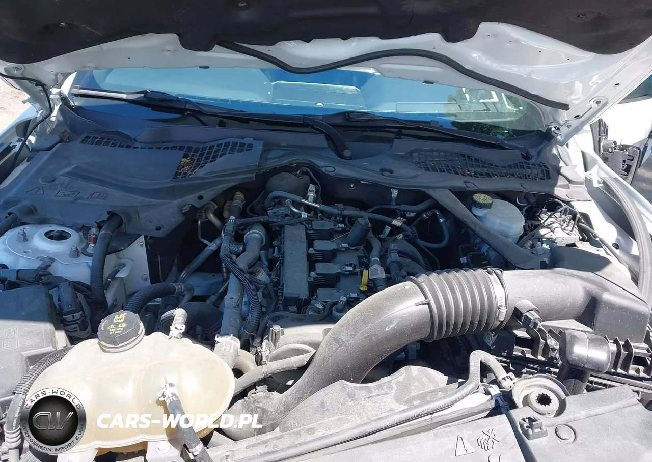 FORD MUSTANG VIN:1FATP8UH8M5122384 - 10