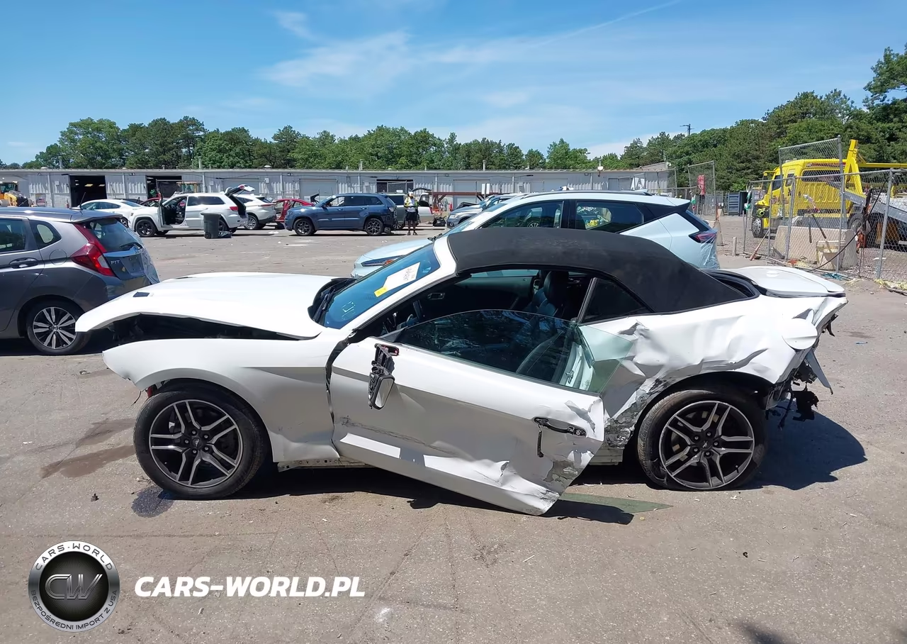FORD MUSTANG VIN:1FATP8UH8M5122384 - 14