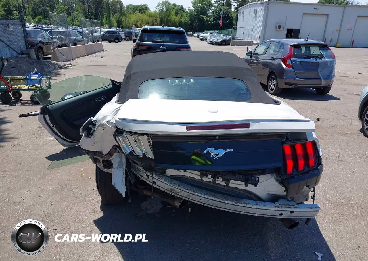 FORD MUSTANG VIN:1FATP8UH8M5122384 - 16