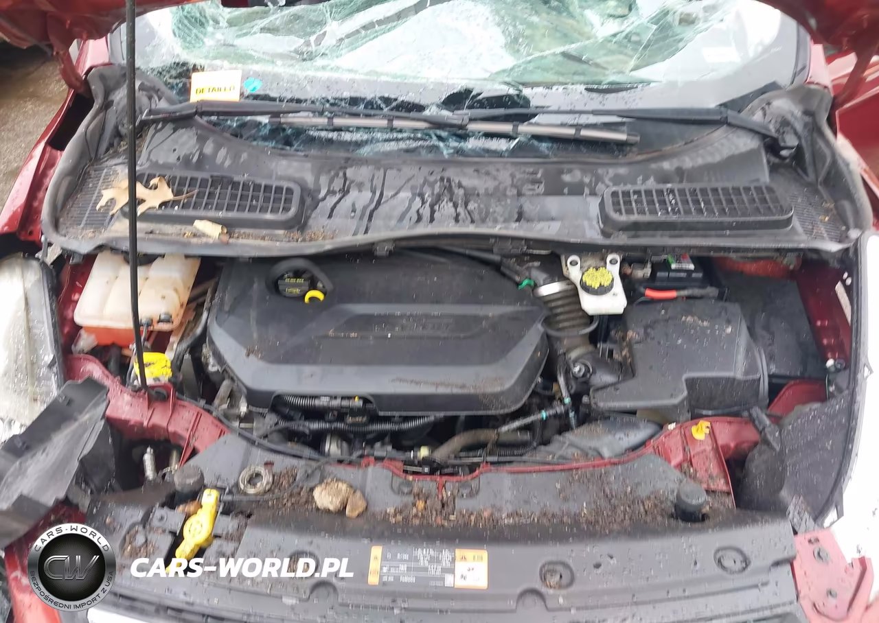 2015 Ford Escape Se VIN:1FMCU0GX6FUA42044 - 10