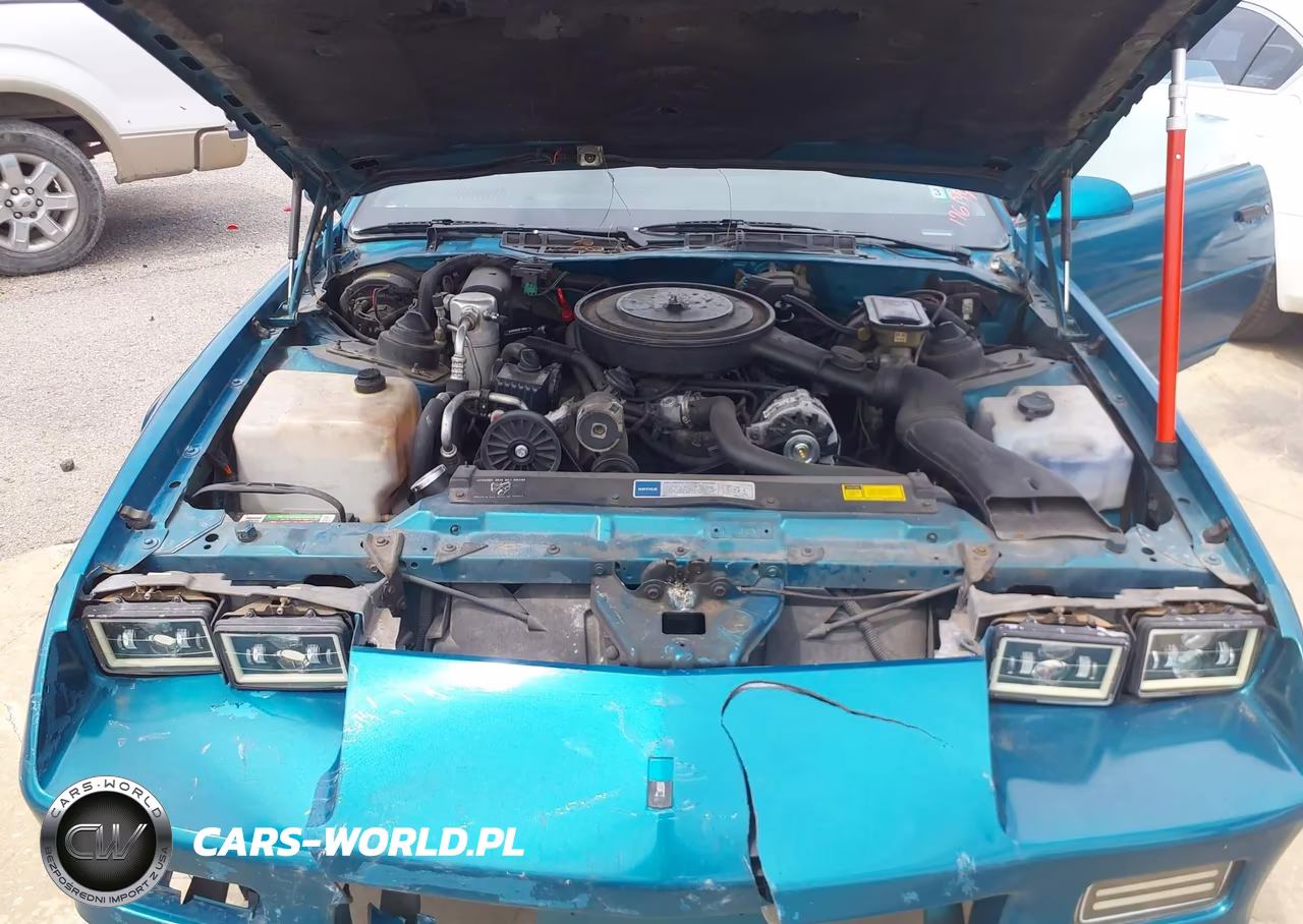 1991 Chevrolet Camaro Rs VIN:1G1FP23E9ML176194 - 10
