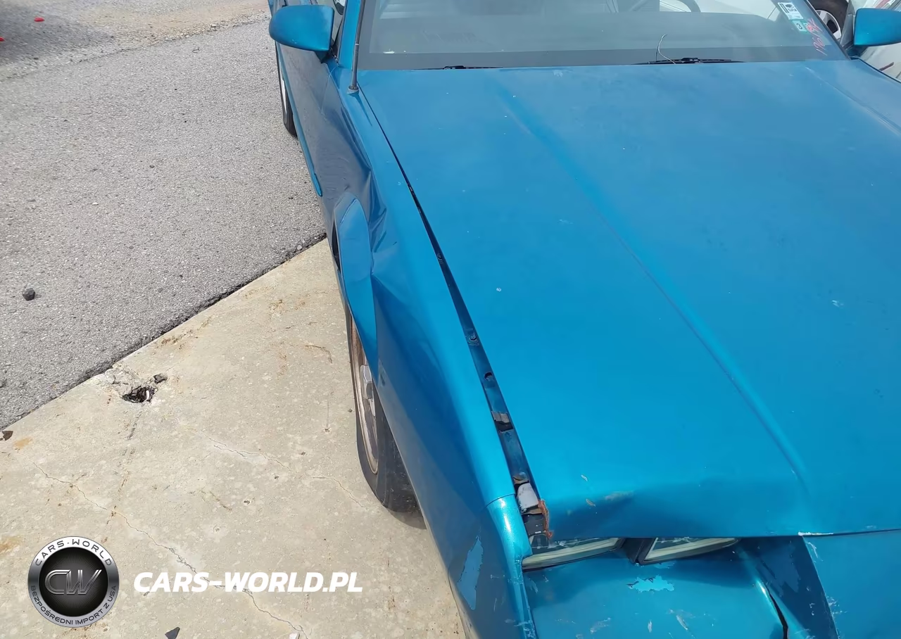 1991 Chevrolet Camaro Rs VIN:1G1FP23E9ML176194 - 13