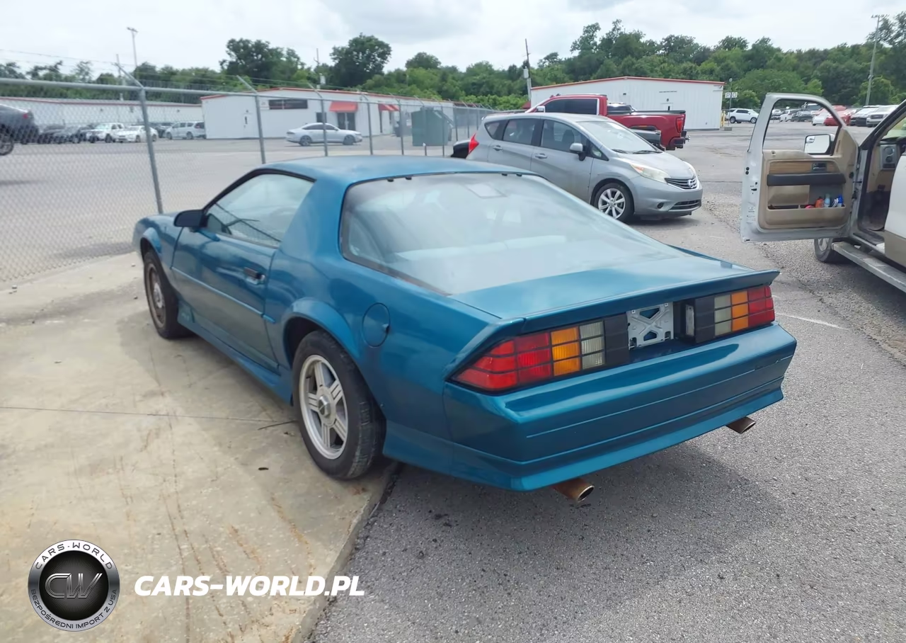 1991 Chevrolet Camaro Rs VIN:1G1FP23E9ML176194 - 3