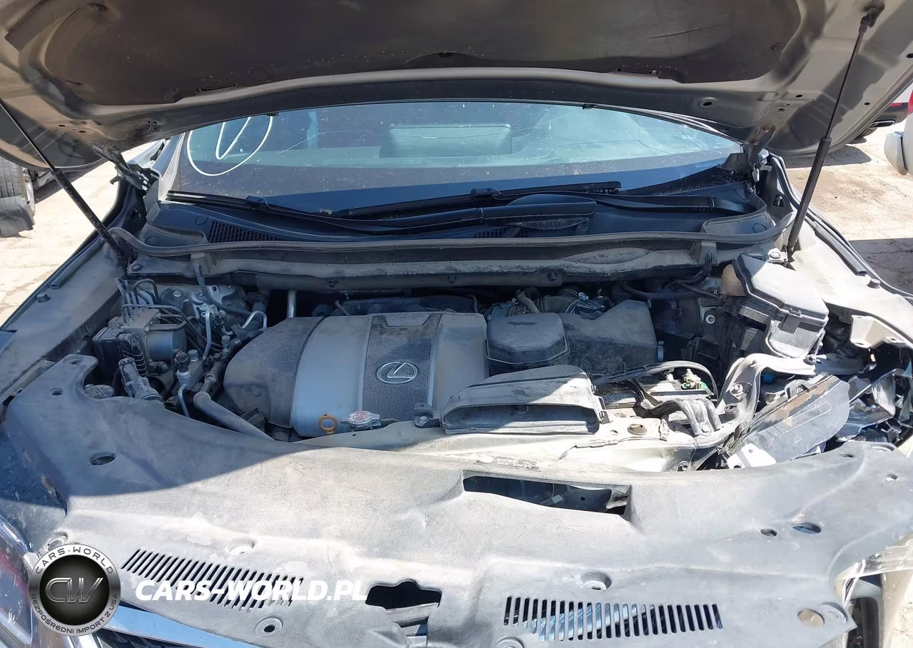 2019 Lexus Rx 350 F Sport VIN:2T2BZMCA3KC174093 - 10