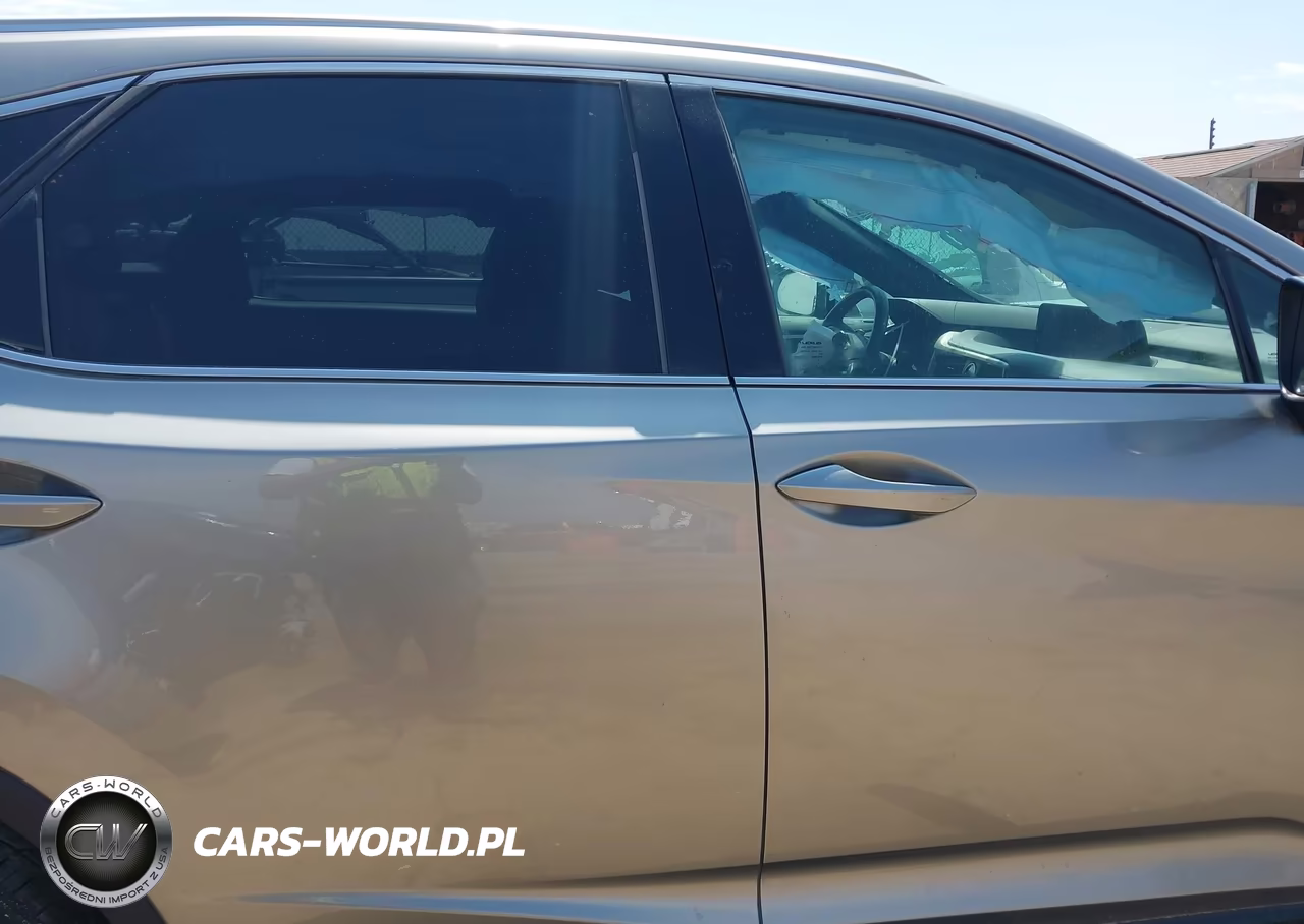 2019 Lexus Rx 350 F Sport VIN:2T2BZMCA3KC174093 - 13