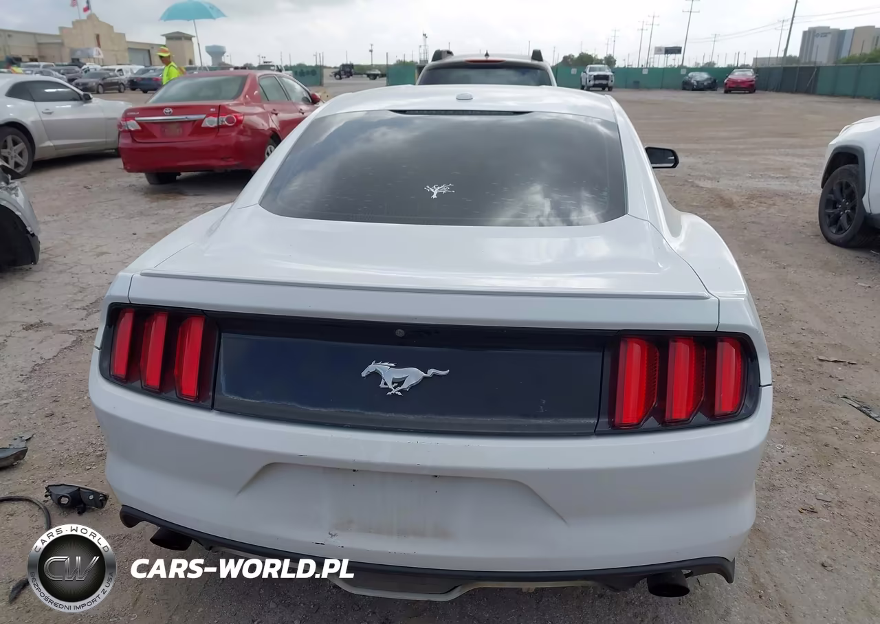 2016 Ford Mustang Ecoboost VIN:1FA6P8TH4G5281695 - 17