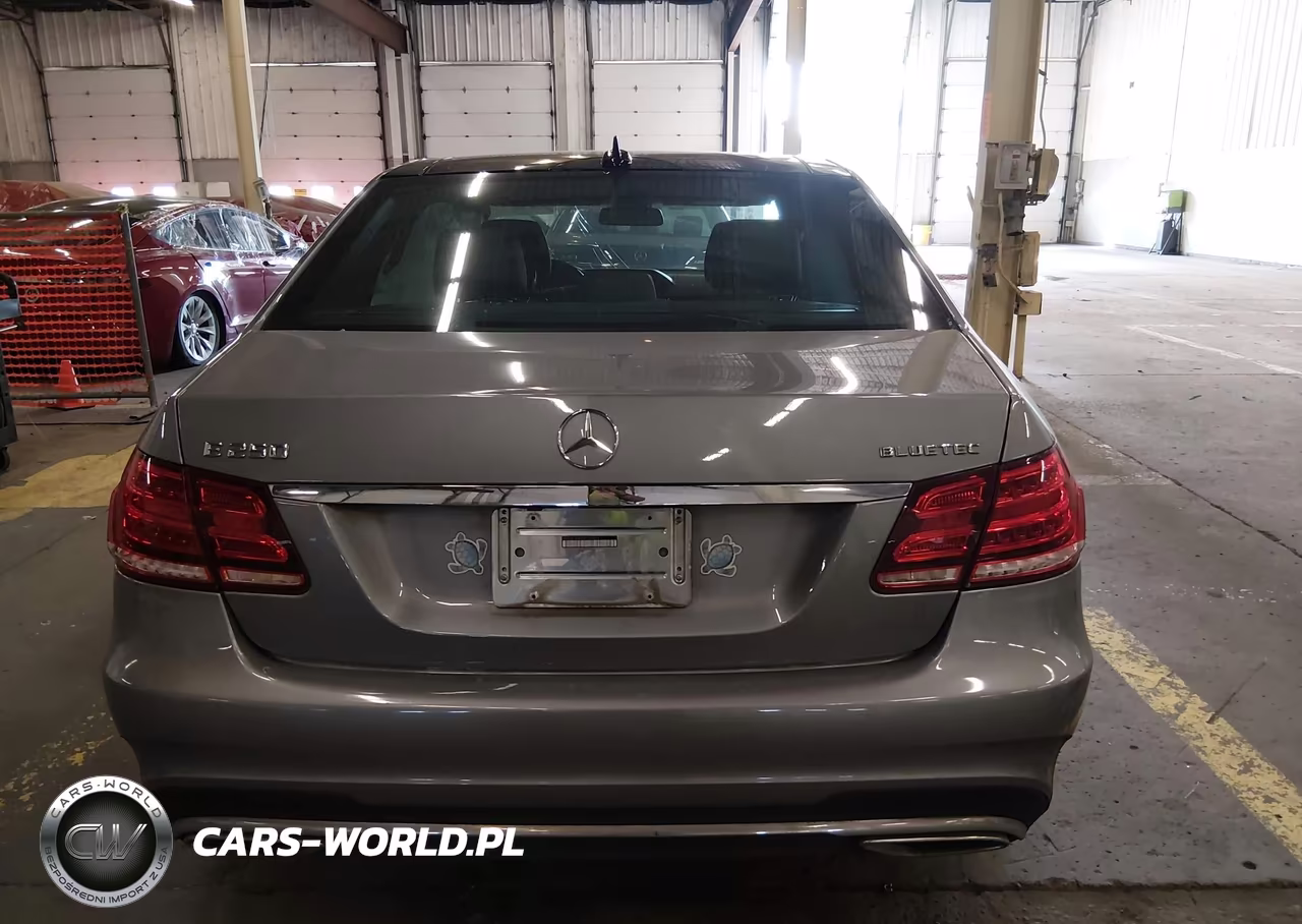 2015 Mercedes-Benz E 250 Bluetec 4Matic VIN:WDDHF9HB0FB159423 - 17