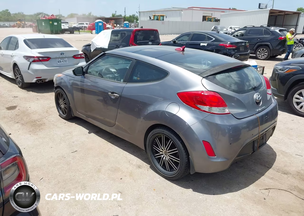 2013 Hyundai Veloster Base W-Black VIN:KMHTC6AD3DU146699 - 3