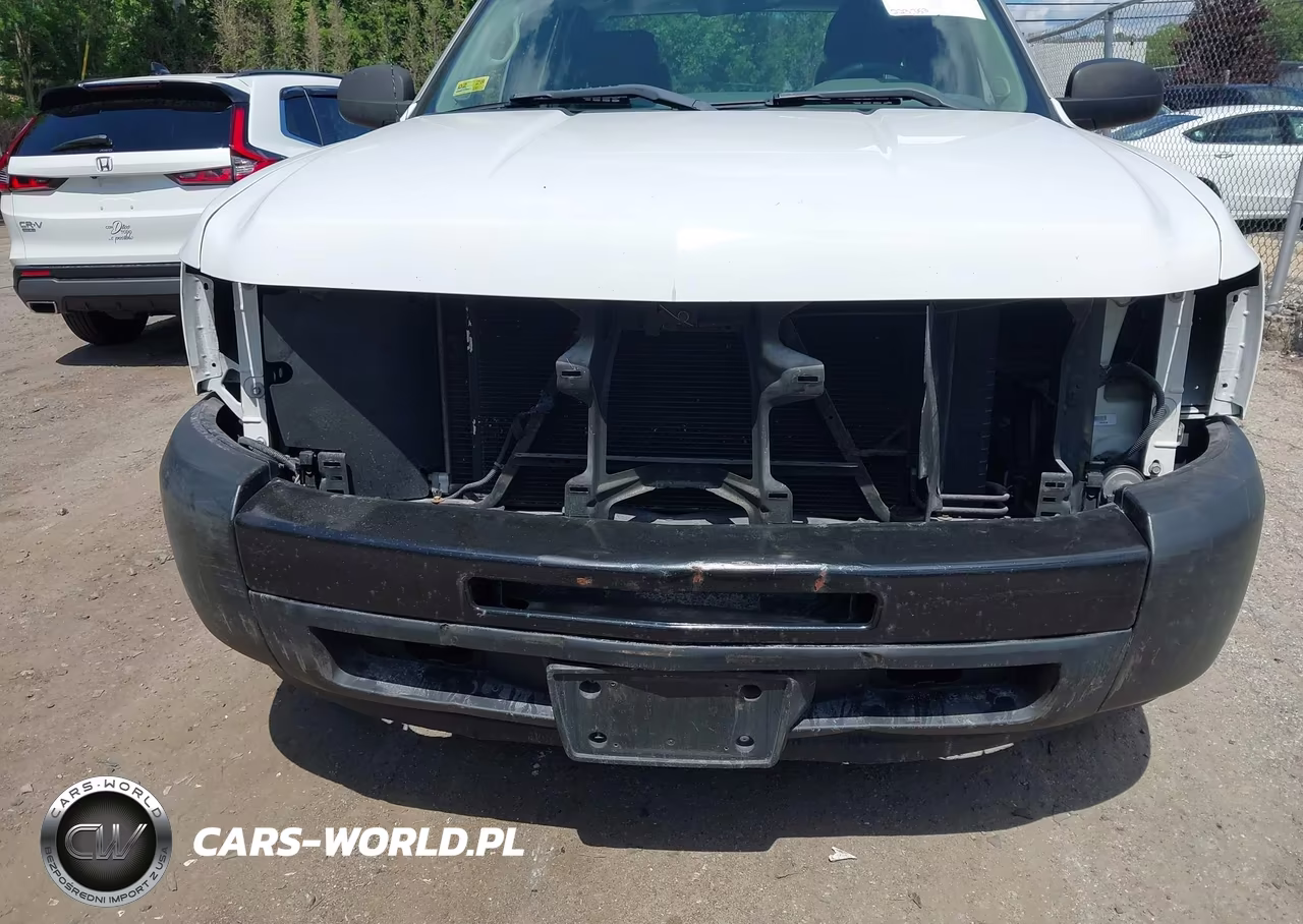 2013 Chevrolet Silverado 1500 Work Truck VIN:1GCRCPEX3DZ378022 - 6