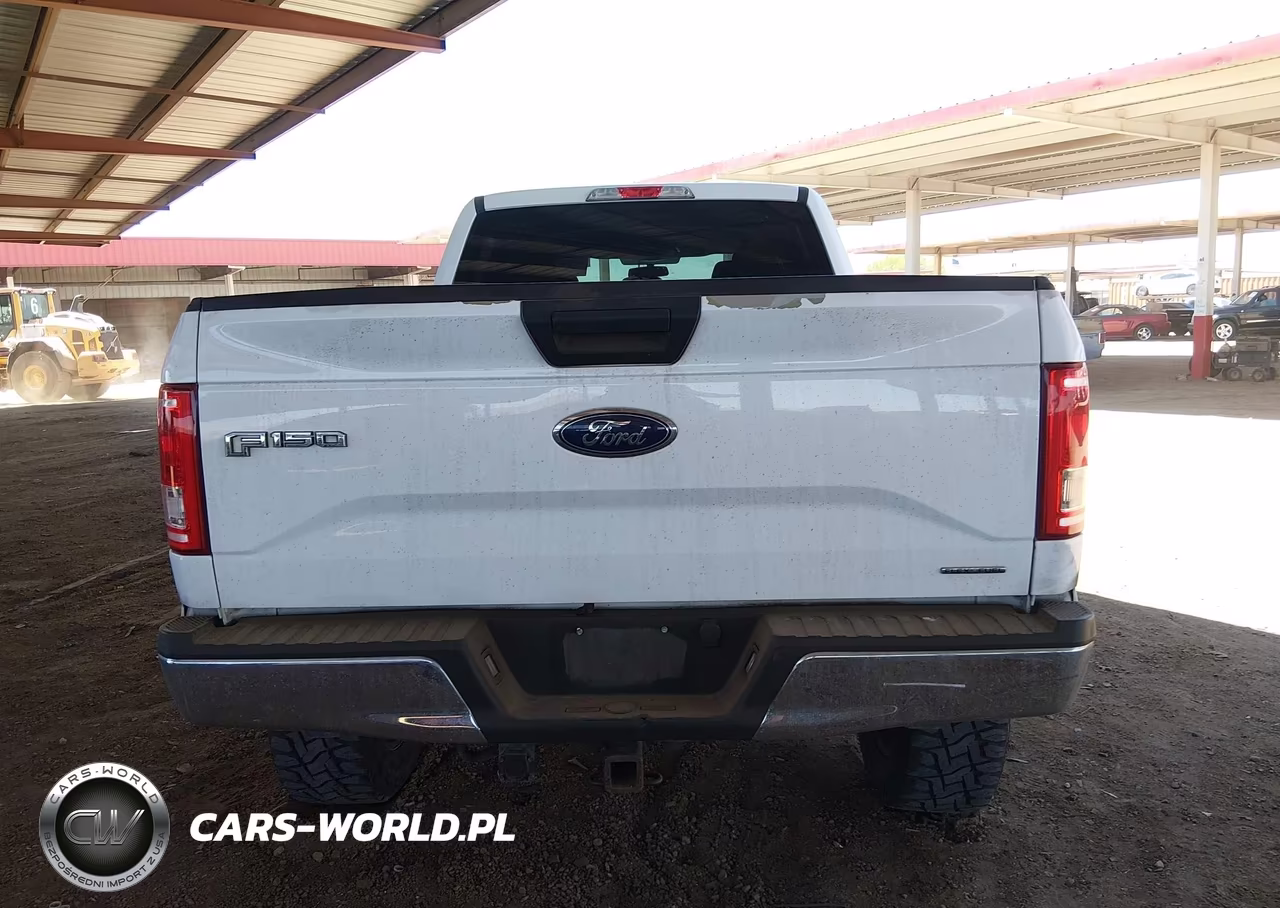 2016 Ford F-150 King Ranch-Lariat-Platinum-Xl-Xlt VIN:1FTFW1EF7GKD06087 - 17