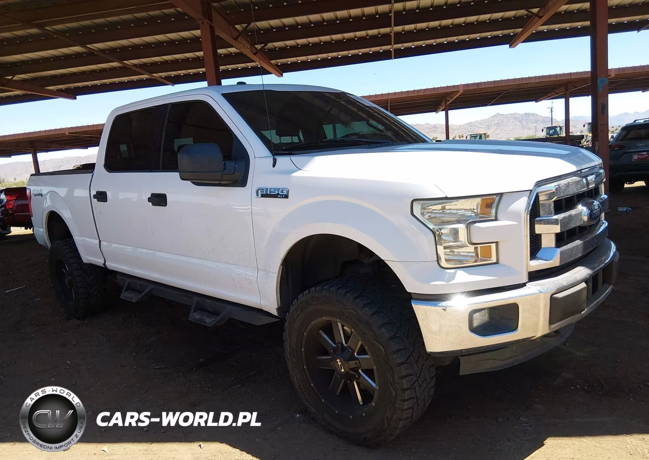 2016 Ford F-150 King Ranch-Lariat-Platinum-Xl-Xlt VIN:1FTFW1EF7GKD06087 - 19