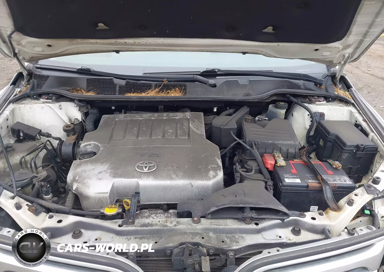 2009 Toyota Venza Base V6 VIN:4T3BK11A49U003945 - 10