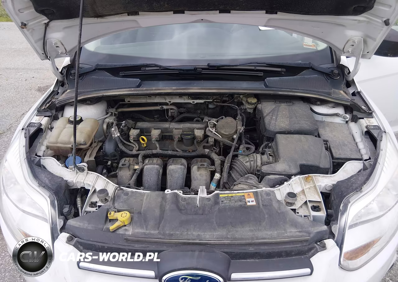 2013 Ford Focus S VIN:1FADP3E28DL352312 - 10