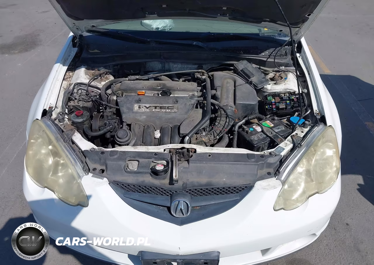 2004 Acura Rsx VIN:JH4DC54824S006042 - 10