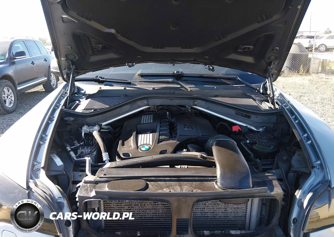 2008 BMW X6 xDrive35I VIN:5UXFG43518LJ35405 - 10