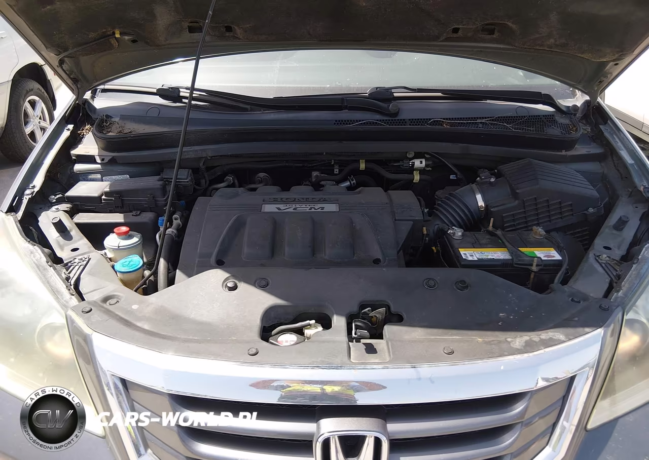 2010 Honda Odyssey Touring VIN:5FNRL3H93AB018899 - 10
