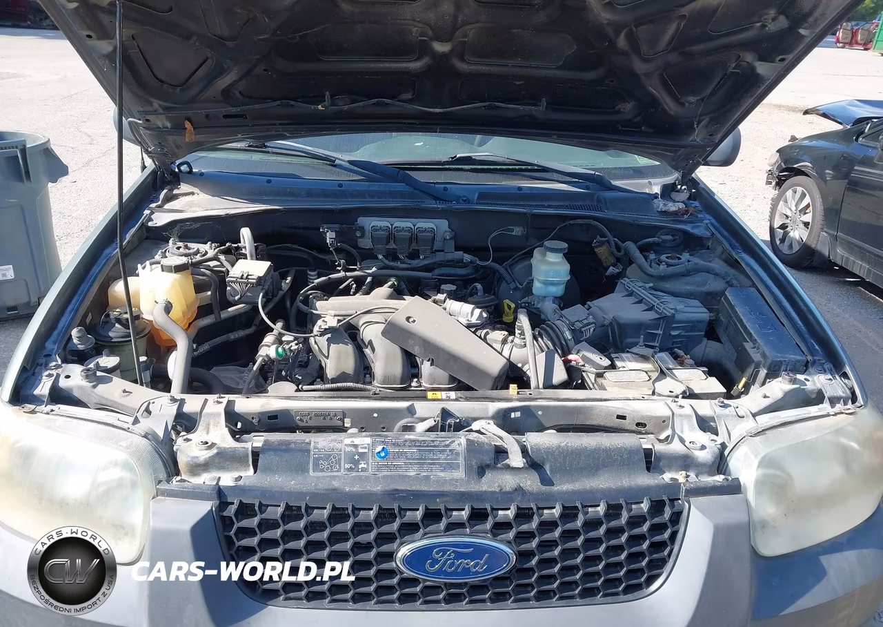 2006 Ford Escape Xlt-Xlt Sport VIN:1FMYU93176KA38558 - 10