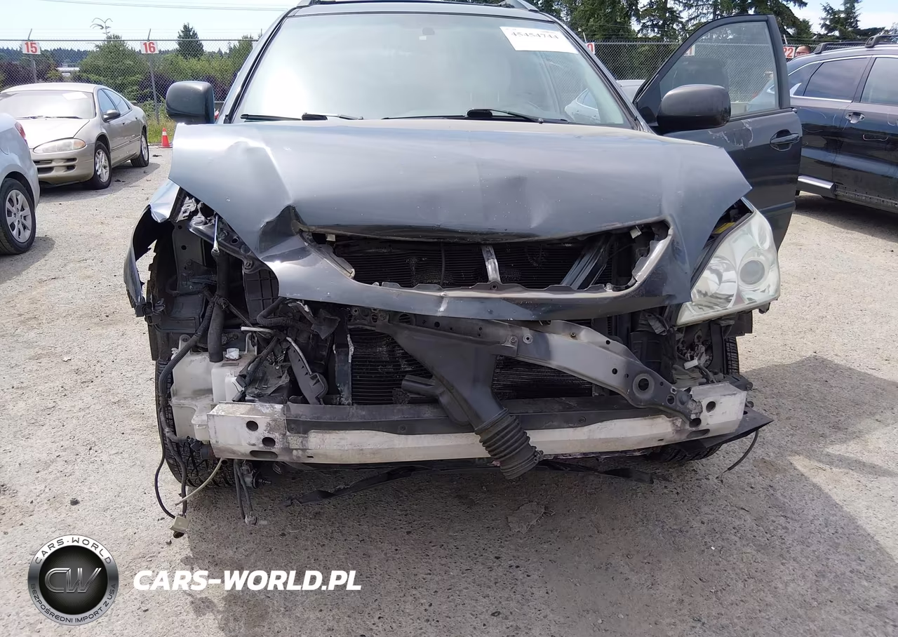 2006 Lexus Rx 400H VIN:JTJHW31UX62000490 - 14