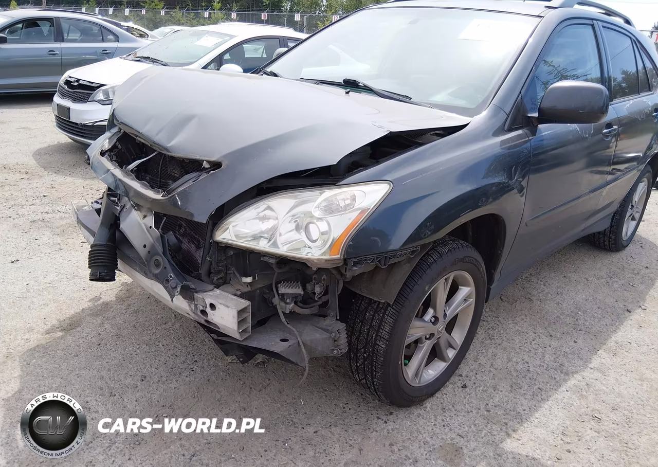 2006 Lexus Rx 400H VIN:JTJHW31UX62000490 - 15