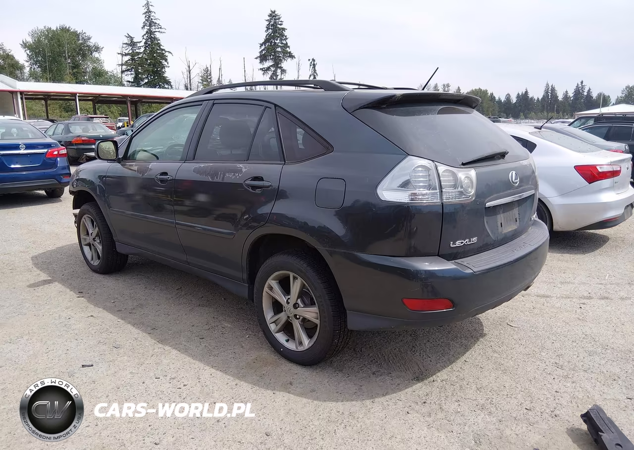 2006 Lexus Rx 400H VIN:JTJHW31UX62000490 - 3