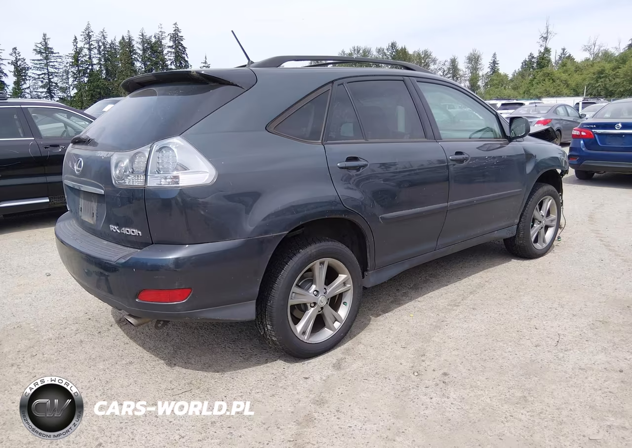 2006 Lexus Rx 400H VIN:JTJHW31UX62000490 - 4