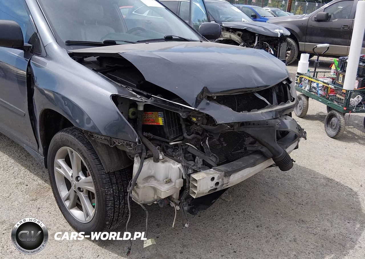 2006 Lexus Rx 400H VIN:JTJHW31UX62000490 - 6