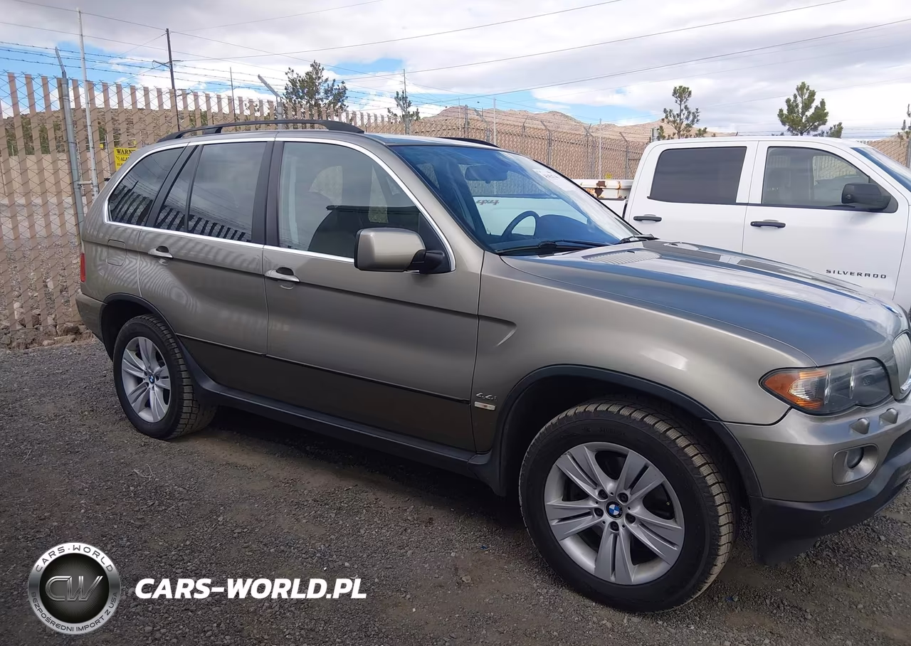2006 BMW X5 4.4I VIN:5UXFB53576LV27063 - 13