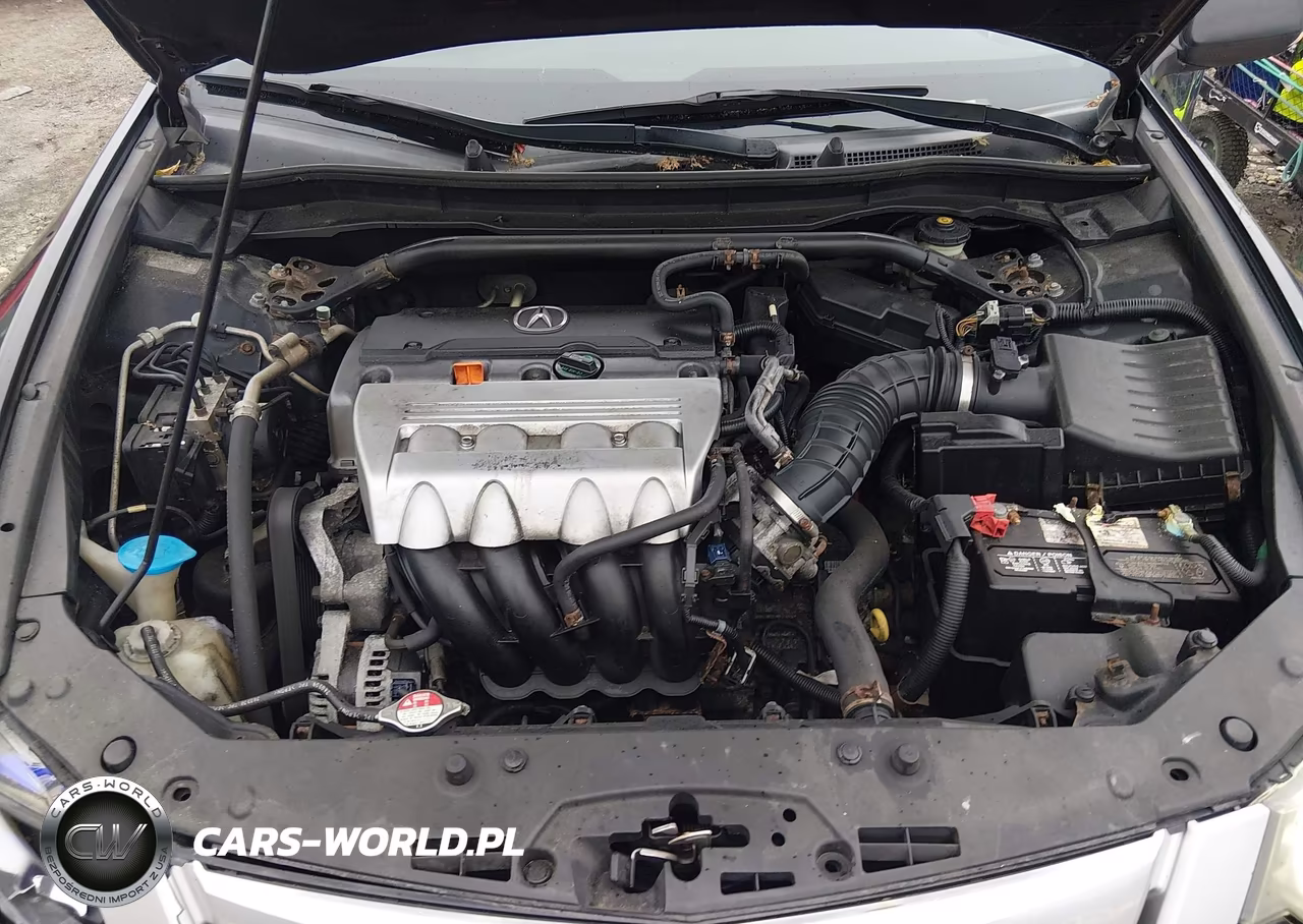 2009 Acura Tsx VIN:JH4CU266X9C009226 - 10