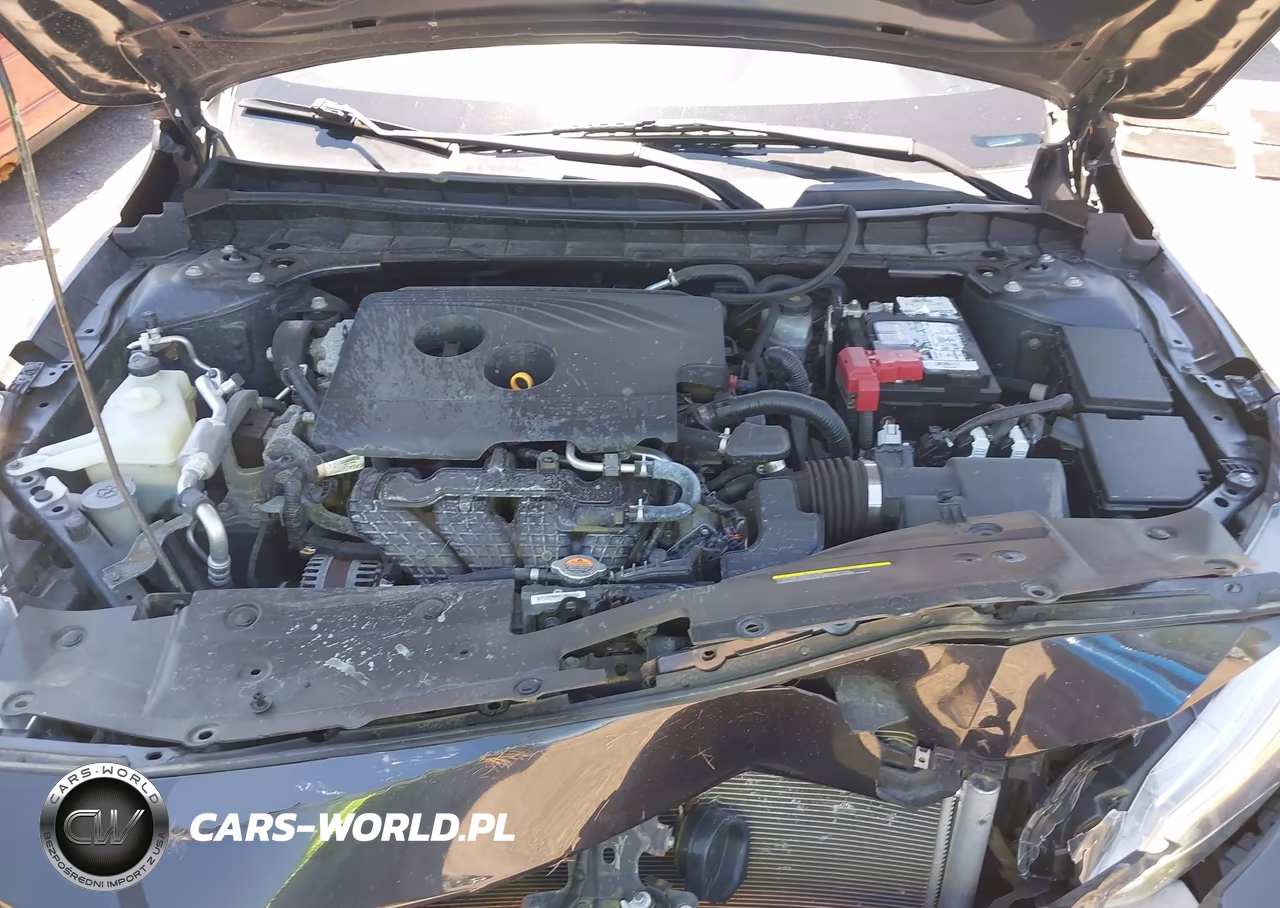 2019 Nissan Altima 2.5 Platinum VIN:1N4BL4FV0KC102352 - 10