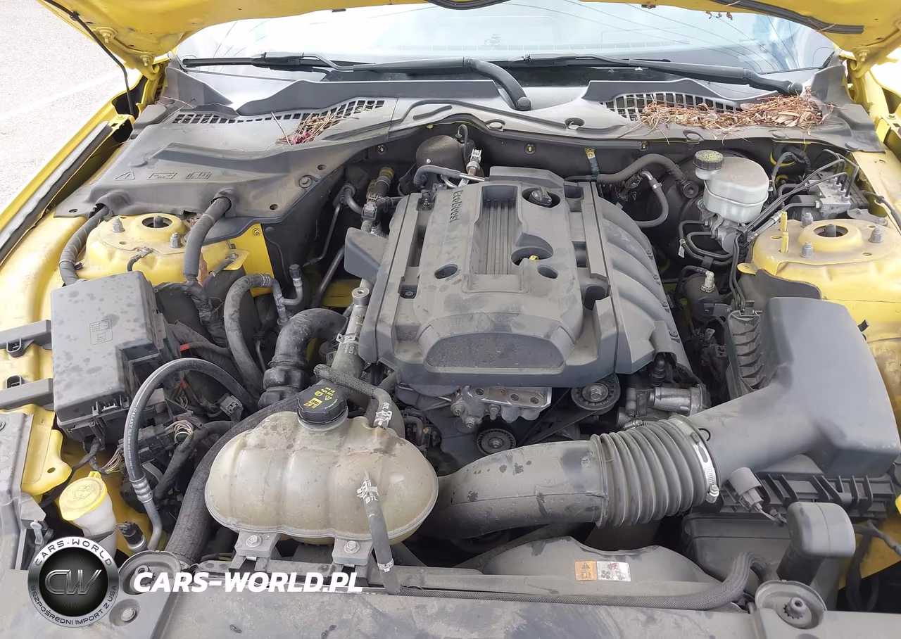 2016 Ford Mustang Ecoboost VIN:1FA6P8TH0G5268460 - 10