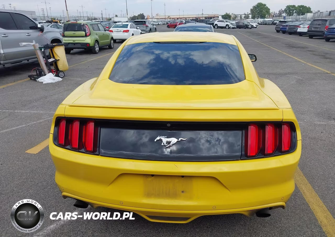 2016 Ford Mustang Ecoboost VIN:1FA6P8TH0G5268460 - 16