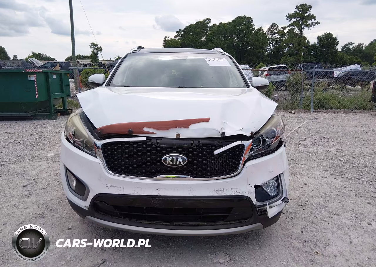 2016 Kia Sorento 2.0T Ex VIN:5XYPH4A15GG117132 - 12