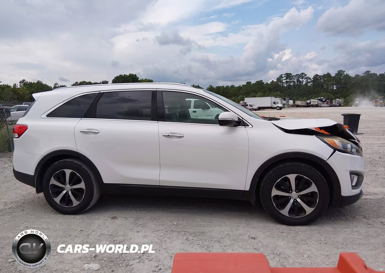 2016 Kia Sorento 2.0T Ex VIN:5XYPH4A15GG117132 - 13