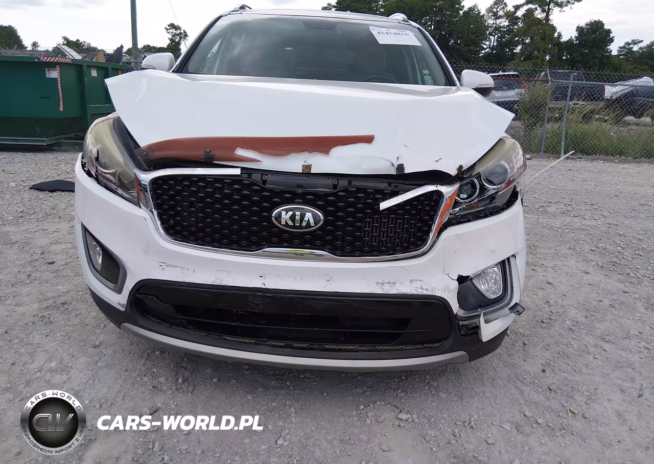 2016 Kia Sorento 2.0T Ex VIN:5XYPH4A15GG117132 - 6