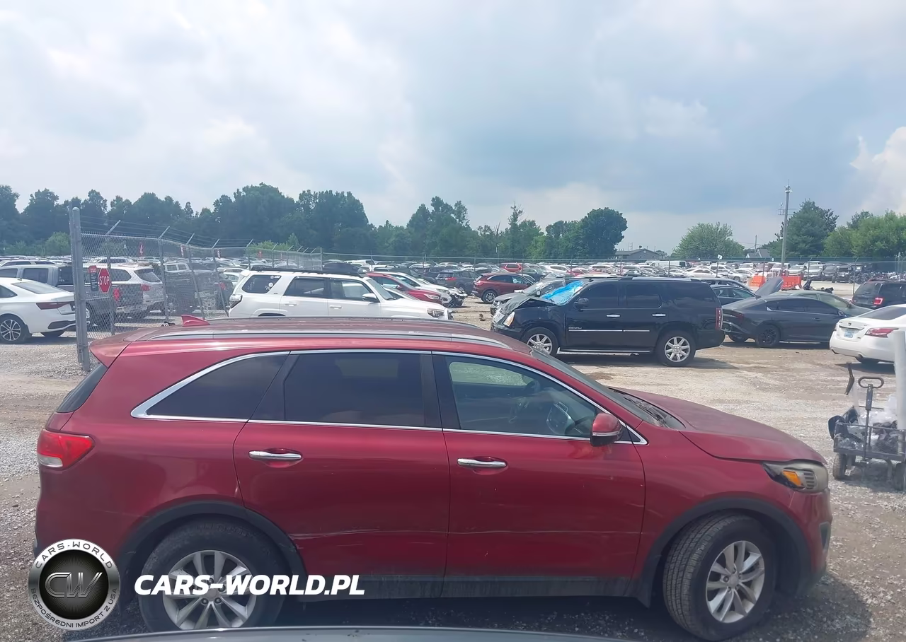 2016 Kia Sorento 3.3L Lx VIN:5XYPG4A5XGG078883 - 13