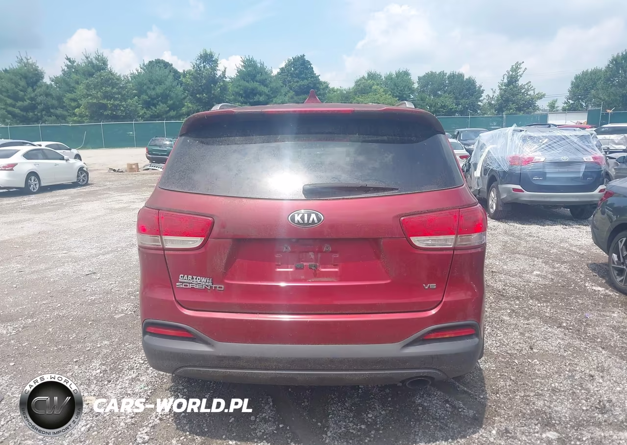 2016 Kia Sorento 3.3L Lx VIN:5XYPG4A5XGG078883 - 16