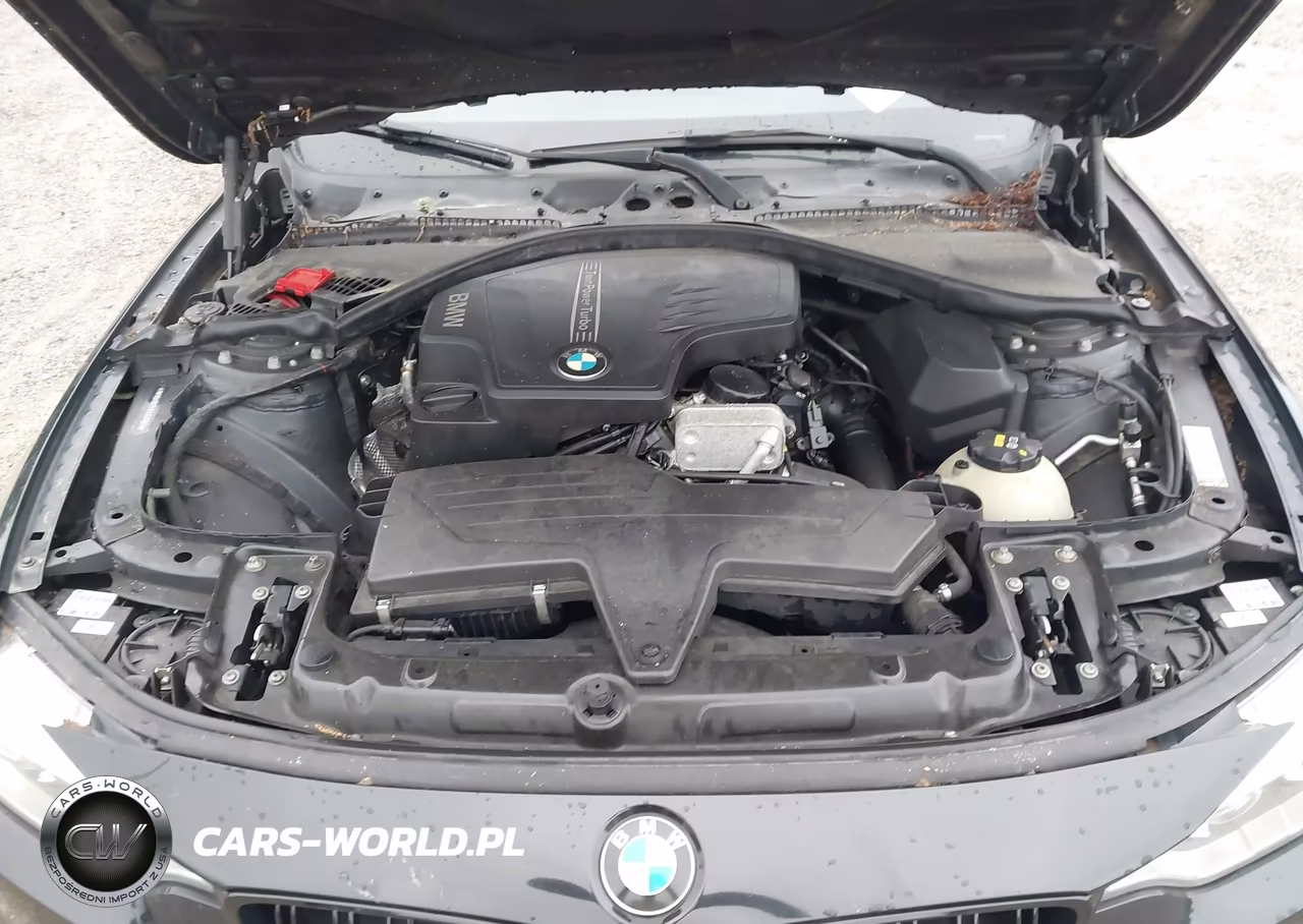2015 BMW 428 Gran Coupe xDrive VIN:WBA4C9C51FD331883 - 10
