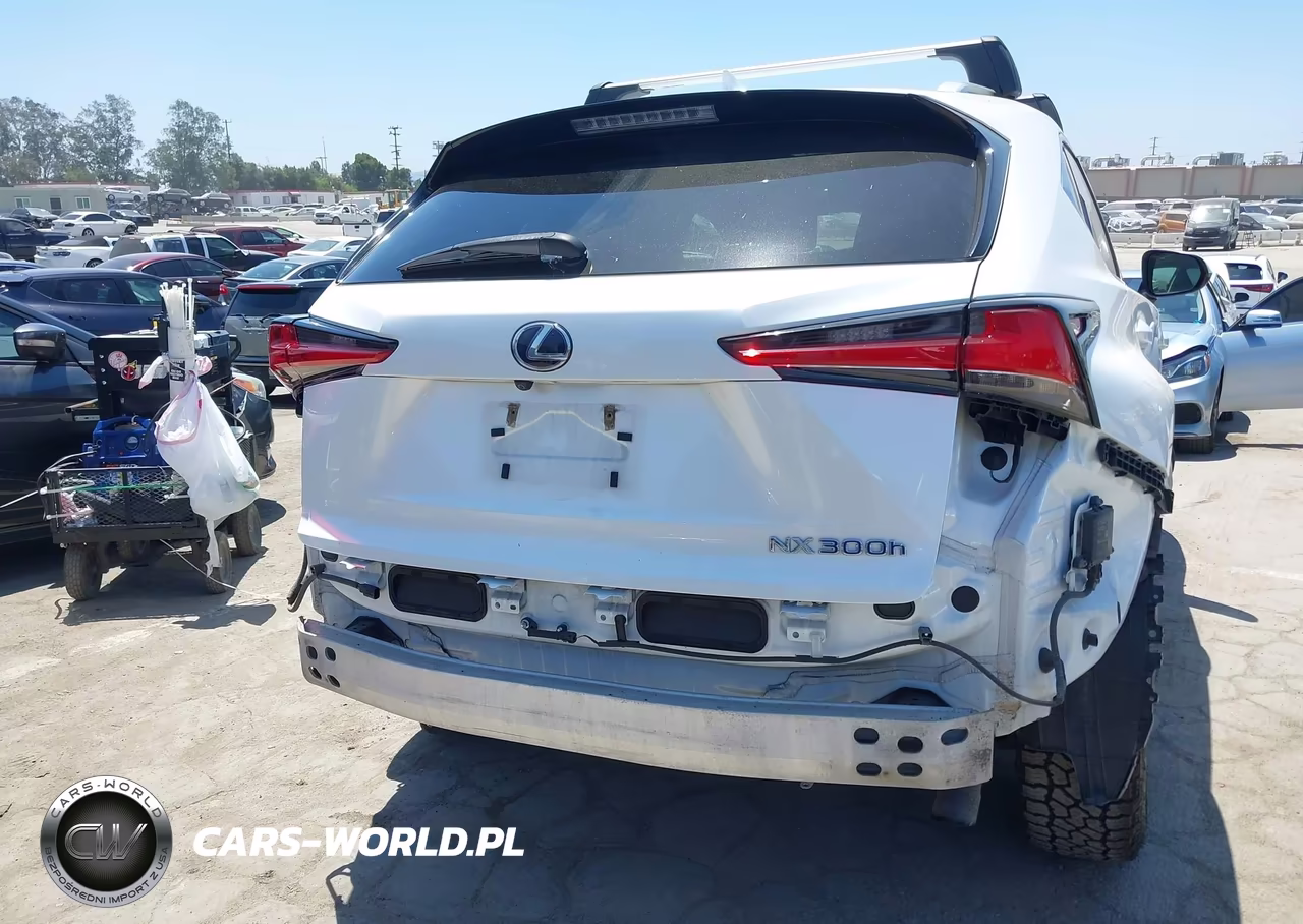 2018 Lexus Nx 300H VIN:JTJBJRBZXJ2082618 - 6