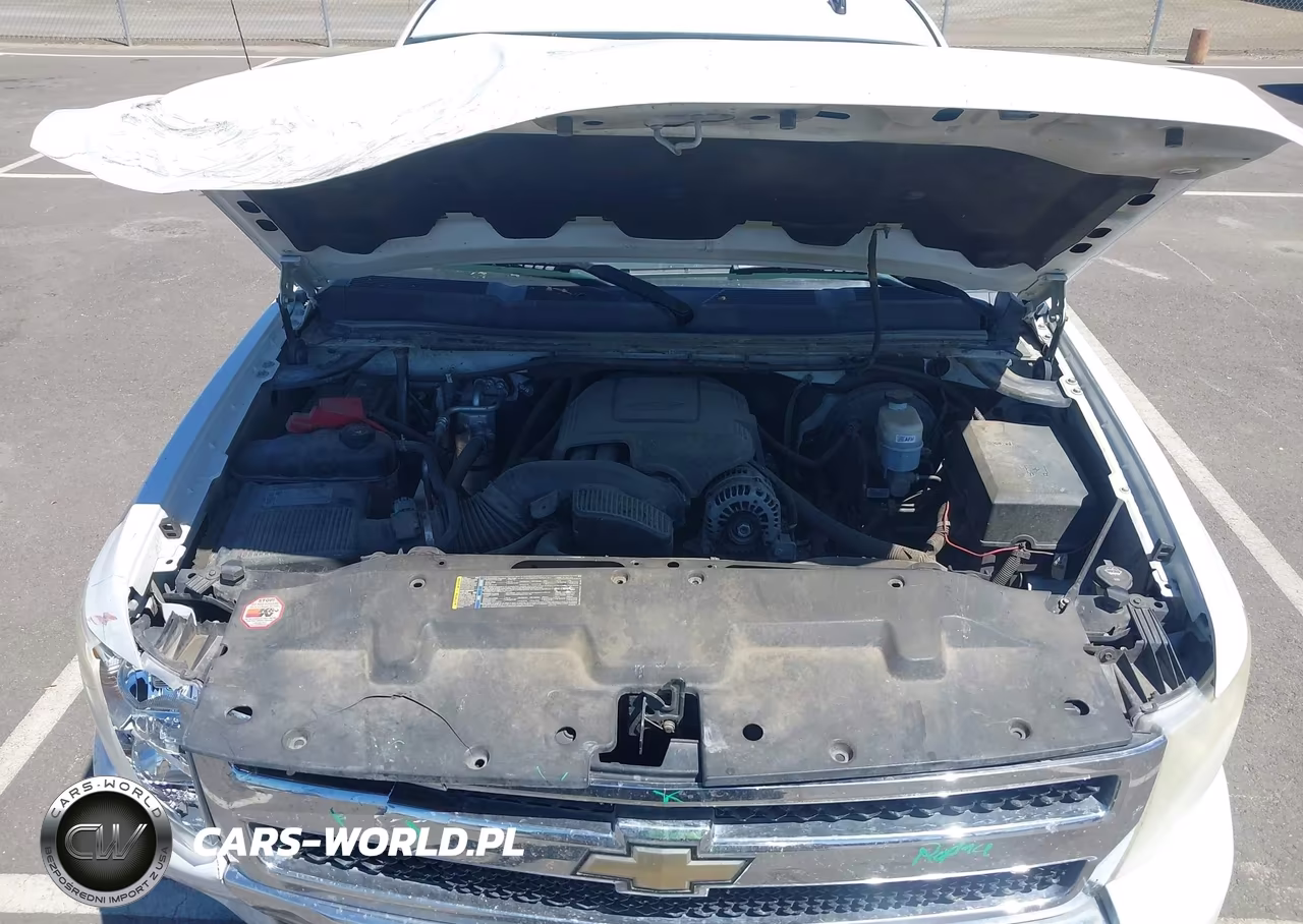 2010 Chevrolet Silverado 1500 Lt VIN:1GCSCSE09AZ250841 - 10