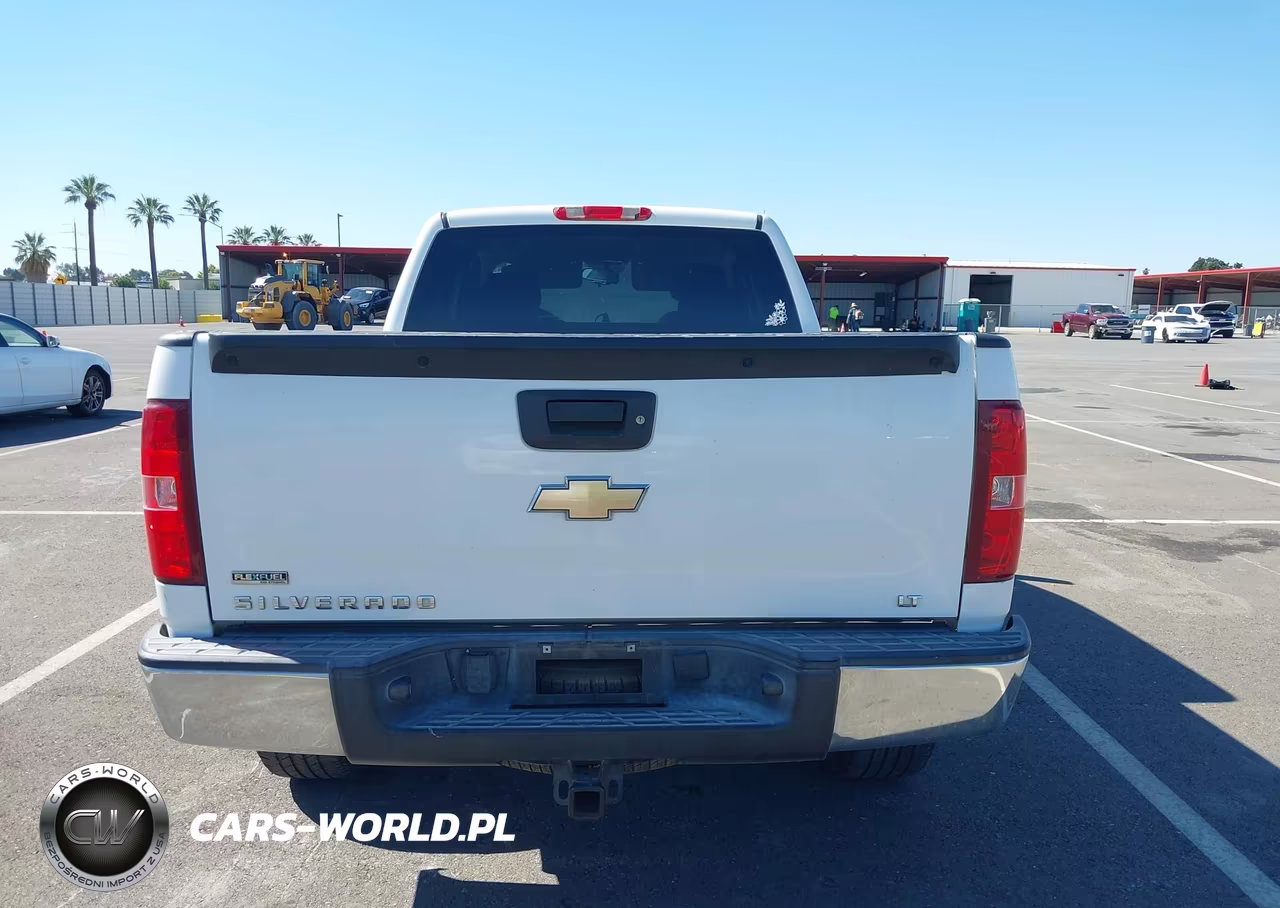 2010 Chevrolet Silverado 1500 Lt VIN:1GCSCSE09AZ250841 - 16