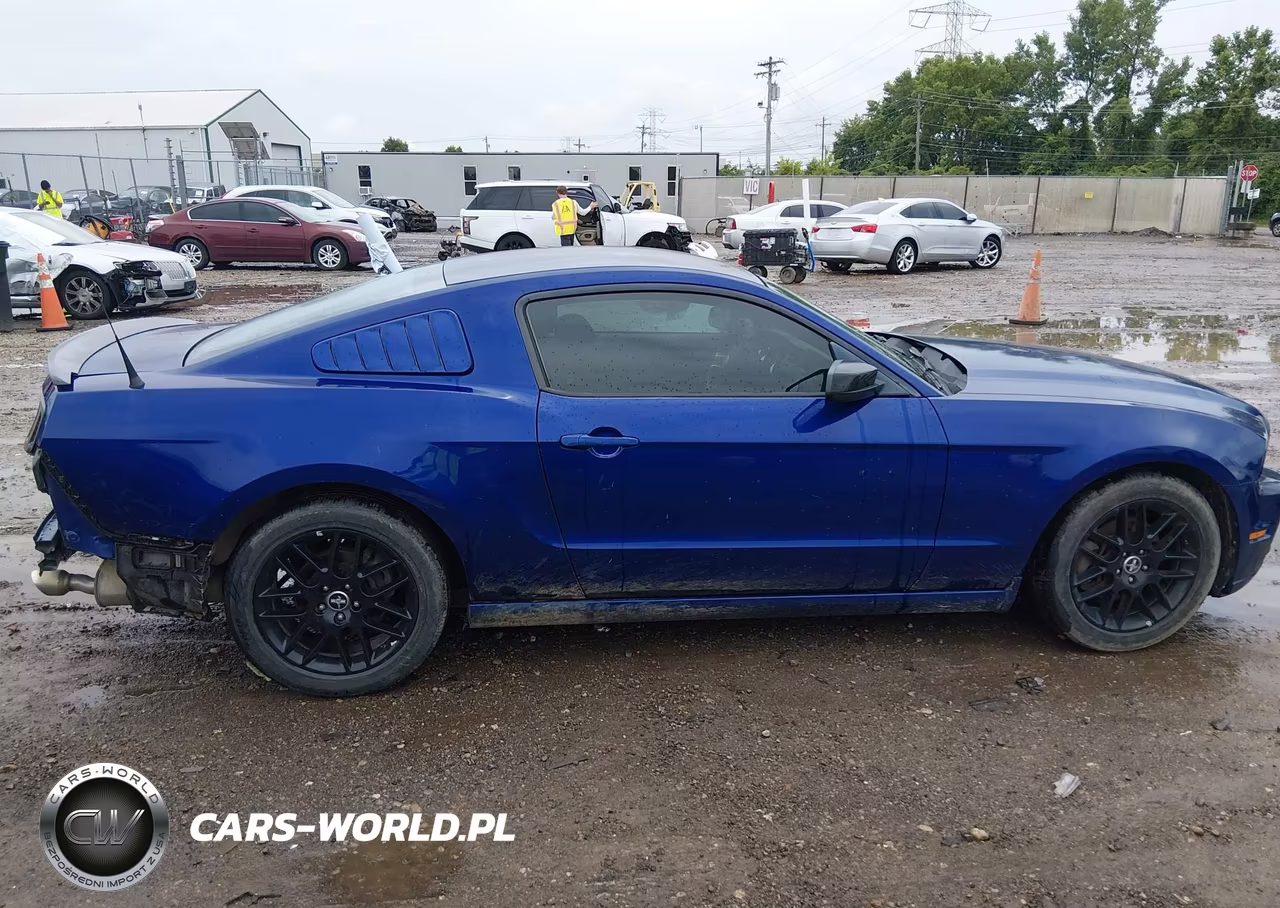 2014 Ford Mustang V6 VIN:1ZVBP8AM0E5260913 - 14